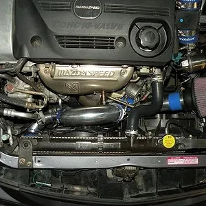 DSCN2784.JPG