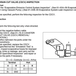CDCV_2.jpg