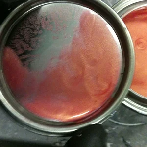 paint.jpeg