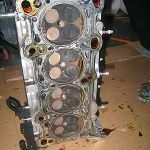 protege 009.JPG