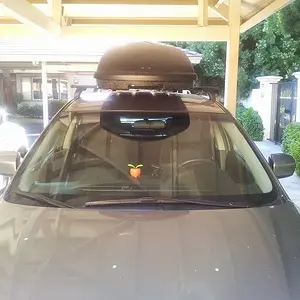 mini-20130708_175905.jpg