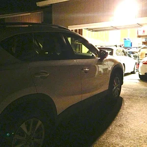 photo 1 copy.JPG