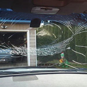 Emilia - Windshield - Inside View.jpeg