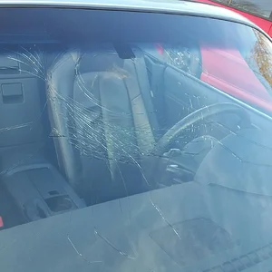 Emilia - Windshield - Outside View.jpeg