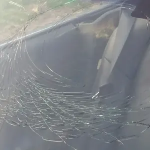 Emilia - Windshield - Closeup.jpeg