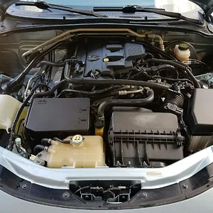 Emilia - Engine Bay Clean.jpeg