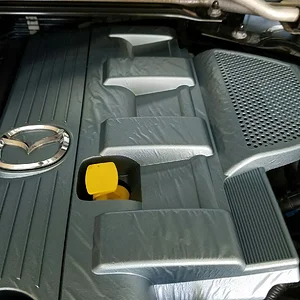 Emilia - Engine Cover WTF.jpeg