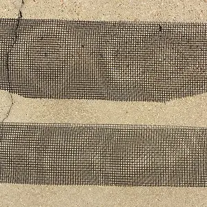 Mesh.jpg
