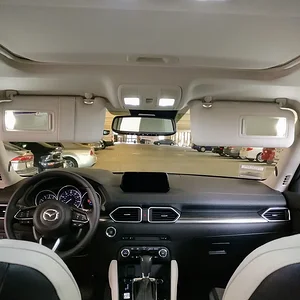 interior LED.jpg