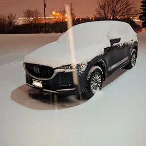 madge in the snow.jpg