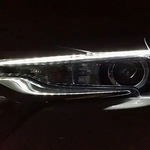LED eyebrow.jpg