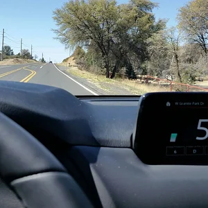 Speedo.jpg