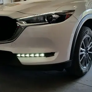 Fog Leds.jpg