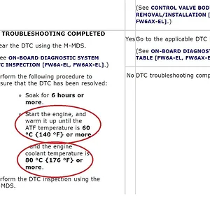 trans temp.jpg