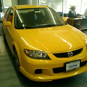 yellow1.jpg