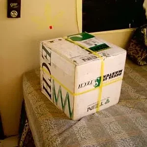 imag0060.jpg