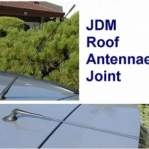 antennae.jpg