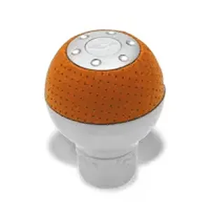 ichiban orange.gif