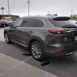 Mazda_CX-9_Purchased.jpg