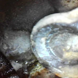 54DBB18B-FF01-45E1-8FC9-AEBFA770242F.jpeg