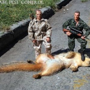 dead squirrel pest control.jpg