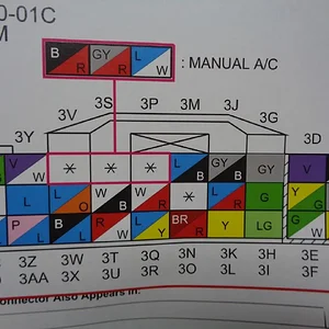 realdealmanualbodymod30pincolor.jpg