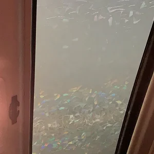 roof.jpg