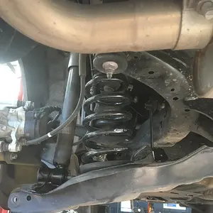 OEM Coilcover with EIBACH.JPG