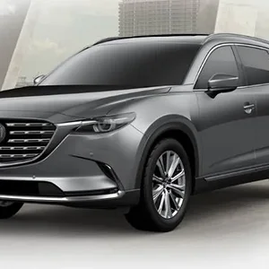 sigcx9.JPG