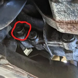 Circled1.jpg