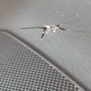RockChip.jpg