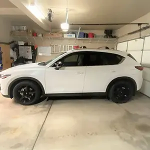 IMG_0461cx5.jpg