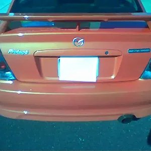 cf lights.jpg