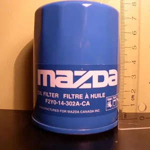 pb040016.jpg