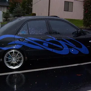 garfix 2(rain).jpg