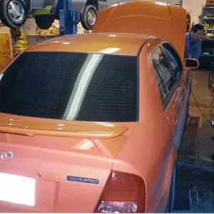 carondyno.jpg