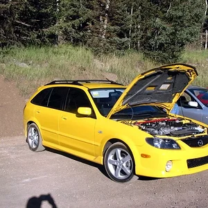 yellow.jpg