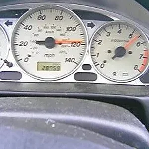 speedo.jpg