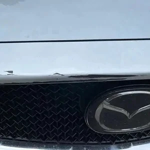 cx5 damage 1.jpg