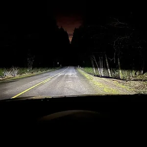 IMG_2019.jpeg