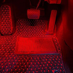 Red Carpet and brake pedal.jpg