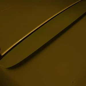 D0914261-0BAD-4A62-83F8-5AE6814A6369.jpeg