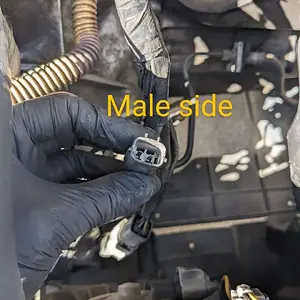 Male.jpg