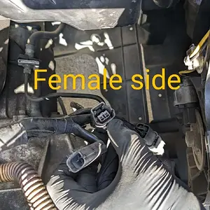 Female.jpg
