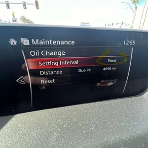 Mazda bug .jpg