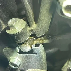 image4 (10).jpeg