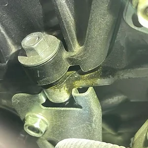 image3 (13).jpeg