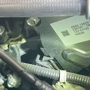 image2 (19).jpeg