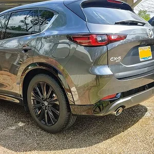 Lowered 2.5 rear.jpg