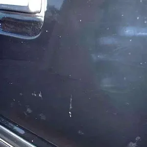 1984 Ford Mustang - BEFORE polishing hazy and faded door panel.jpg
